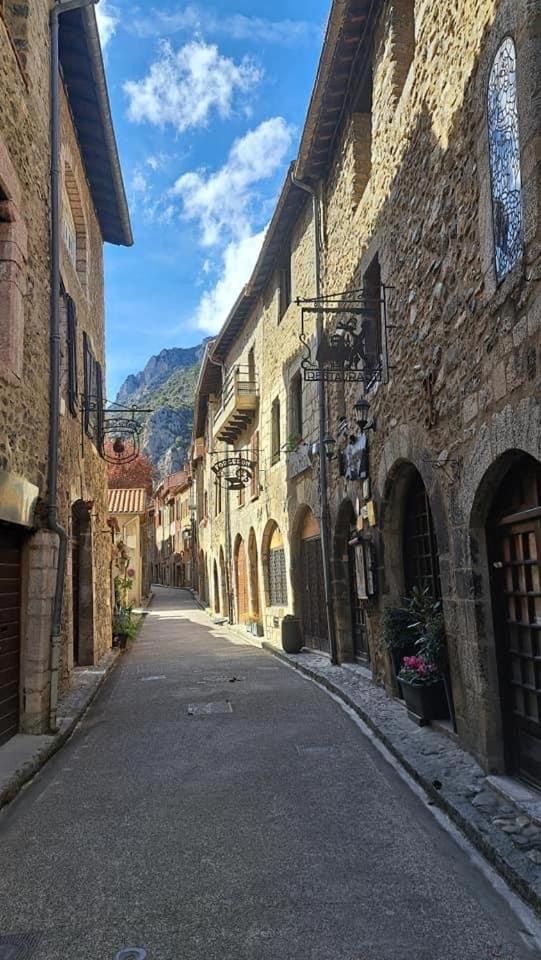 Maison Les Ramparts Villefranche-de-Conflent Eksteriør billede